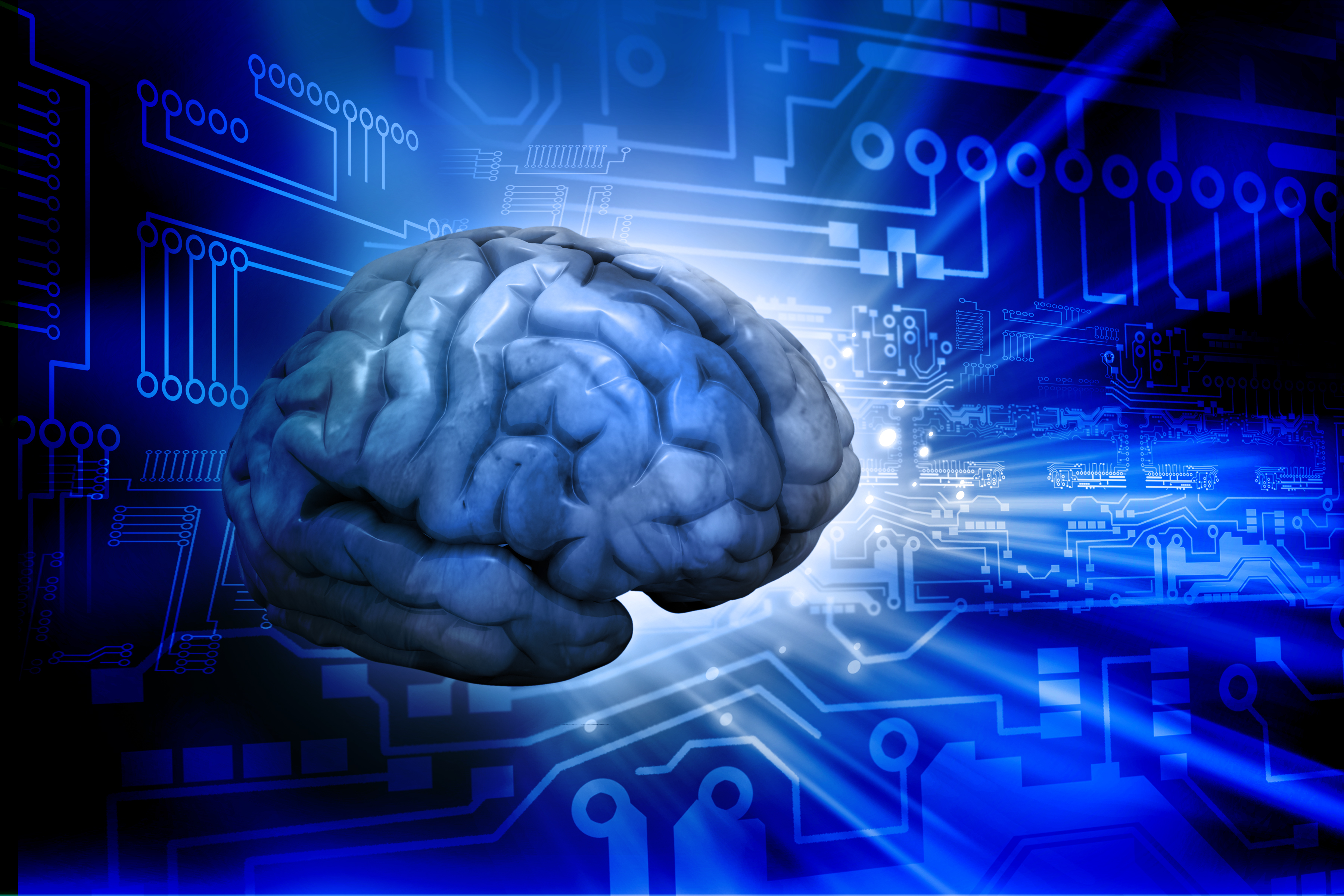 Brain information. Изучение мозга. Искусственный интеллект. Цифровой мозг.